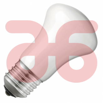 Superluxlamp e27 100watt