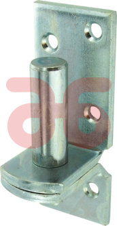 Plaatduim opschr.galv. 38x5mm