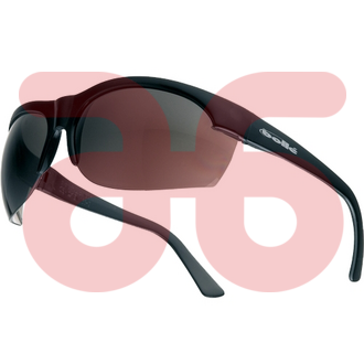 Werkbril sanyl blank