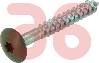 Torx schroeven rvs a2 4.8x38mm