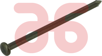 Stalen nagels a 100st 30x2.5mm