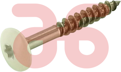 Torx schroeven rvs a2 4.8x38mm